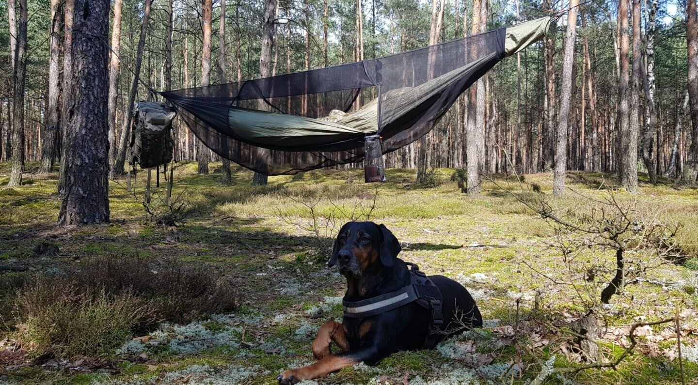 BUSHBED šūpuļtīkls cena un informācija | Šūpuļtīkli | 220.lv