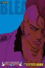 Bleach (3-in-1 Edition), Vol. 23: Includes vols. 67, 68 & 69 cena un informācija | Fantāzija, fantastikas grāmatas | 220.lv