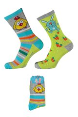 Lieldienu zeķes bērniem Apollo Easter Socks, dažādas krāsas, 2 pāri цена и информация | Носки, колготки для мальчиков | 220.lv