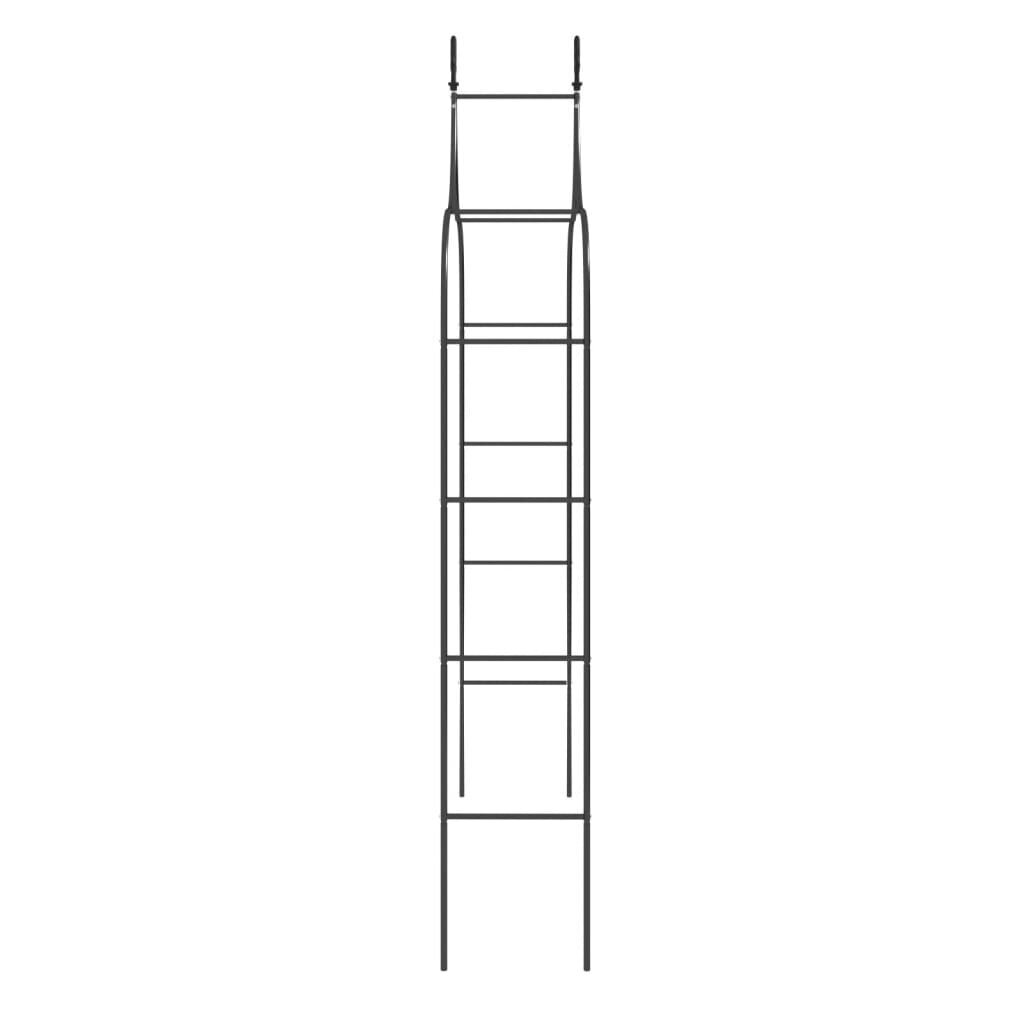 vidaXL dārza arkas, 2 gab., melnas, 120x38x260 cm, tērauds cena un informācija | Ziedu statīvi, puķu podu turētāji | 220.lv