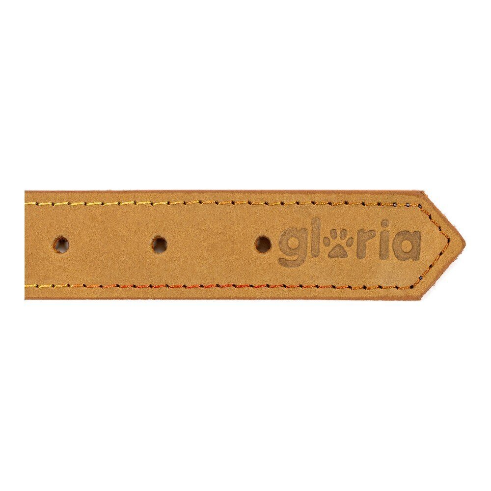 Suņa kaklasiksna Gloria Oasis Dzeltens (1,5 x 40 cm) цена и информация | Apkakles, siksnas suņiem | 220.lv