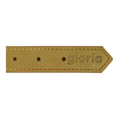 Suņa kaklasiksna Gloria Oasis Zaļš (35 x 1,2 cm) cena un informācija | Apkakles, siksnas suņiem | 220.lv