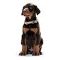 Suņa kaklasiksna Hunter Alu-Strong Oranžs S Izmērs (30-45 cm) cena un informācija | Apkakles, siksnas suņiem | 220.lv