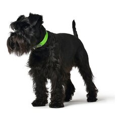 Suņa kaklasiksna Hunter Convenience Comfort Zaļš S/M Izmērs (32-40 cm) cena un informācija | Apkakles, siksnas suņiem | 220.lv