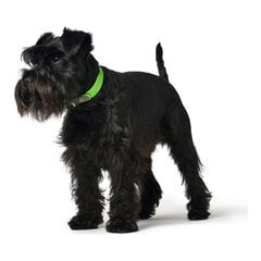 Suņa kaklasiksna Hunter Convenience M Izmērs Zaļš (38-46 cm) cena un informācija | Apkakles, siksnas suņiem | 220.lv