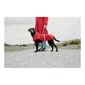 Suņa mētelis Norton 360 Uppsala Sarkans 30 cm cena un informācija | Apģērbi suņiem | 220.lv