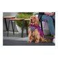 Suņa mētelis Red Dingo Puffer 50 cm Rozā/Violets цена и информация | Apģērbi suņiem | 220.lv