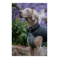 Пальто для собак Red Dingo Puffer Черный/Серый 55 cm цена и информация | Одежда для собак | 220.lv