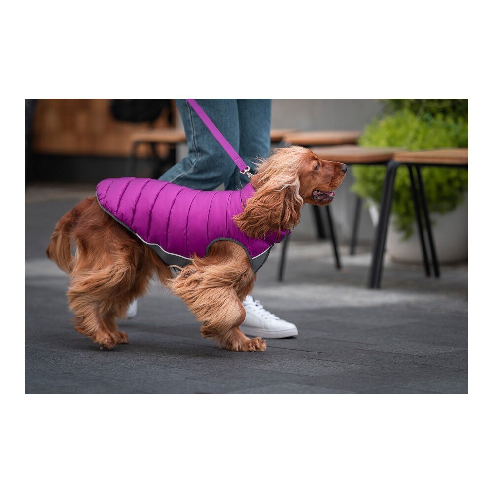 Suņa mētelis Red Dingo Puffer Rozā/Violets 25 cm цена и информация | Apģērbi suņiem | 220.lv