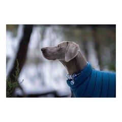 Suņa mētelis Red Dingo Puffer Tirkīzs 50 cm cena un informācija | Apģērbi suņiem | 220.lv