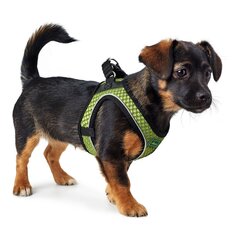 Suņu drošības siksna Hunter Hilo-Comfort Kaļķi (30-35 cm) cena un informācija | Apkakles, siksnas suņiem | 220.lv