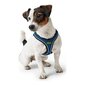 Suņu drošības siksna Hunter Hilo-Comfort Zils (30-35 cm) cena un informācija | Ceļojumu piederumi | 220.lv