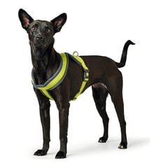 Suņu drošības siksna Hunter London Comfort XS-S 39-47 cm Kaļķi cena un informācija | Apkakles, siksnas suņiem | 220.lv