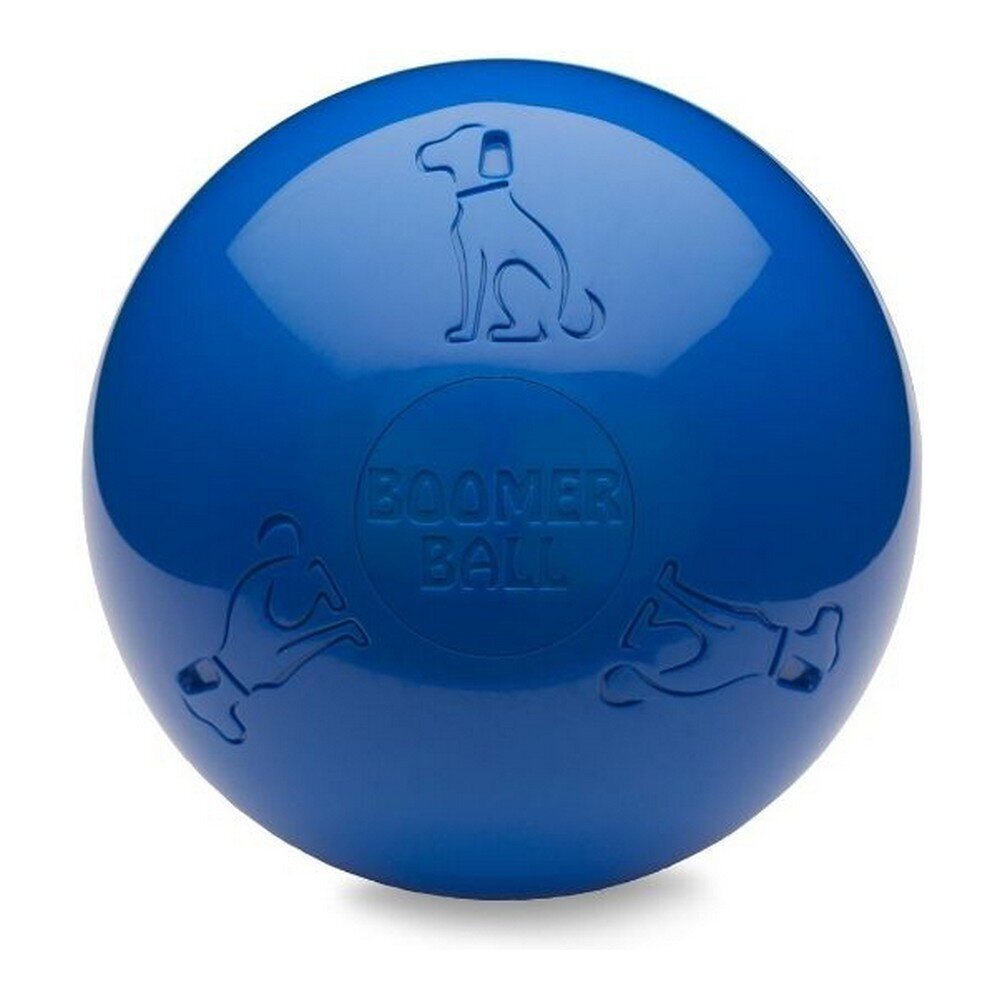 Suņu rotaļlieta Company of Animals Boomer Zils (250mm) cena un informācija | Suņu rotaļlietas | 220.lv