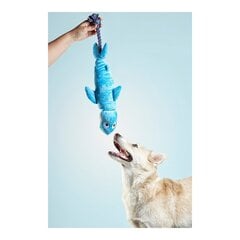Игрушка для собак Gloria Clint Акула цена и информация | Игрушки для собак | 220.lv