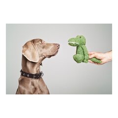 Suņu rotaļlieta Gloria Pinky Krokodils Zaļš cena un informācija | Suņu rotaļlietas | 220.lv