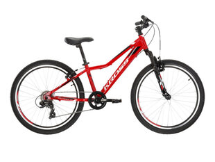 24" velosipēds HEXAGON JR 1.0 KROSS, krāsa: sarkana, 13" alumīnija rāmis, augstums 130-150cm (9588) cena un informācija | Velosipēdi | 220.lv