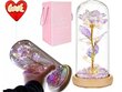 Stikla LED roze stikla korpusā cena un informācija | Citas oriģinālas dāvanas | 220.lv