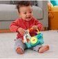 Interaktīvā lama Fisher-Price HNM86 cena un informācija | Rotaļlietas zīdaiņiem | 220.lv