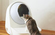Catlink Pro-X Luxury Version viedā pašattīrošā kaķu smilšu kaste цена и информация | Kaķu tualetes | 220.lv