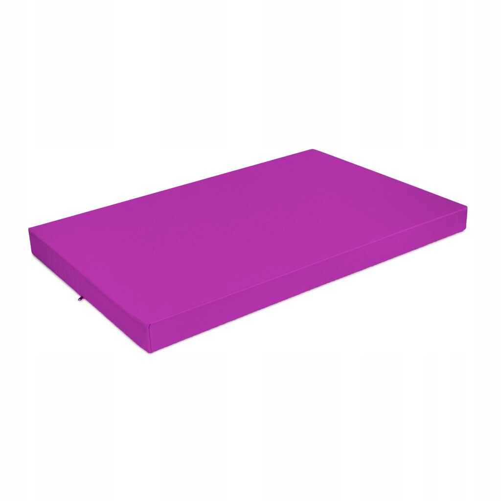 Paletes mēbeļu spilvens, SuperKissen24, 120x80x8, rozā krāsā cena un informācija | Krēslu paliktņi | 220.lv