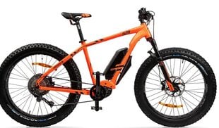 Электровелосипед GZR Dominanc-e 2.0 26" 48,3 см цена и информация | Велосипеды | 220.lv