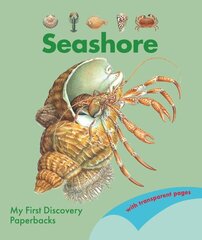 Seashore cena un informācija | Grāmatas mazuļiem | 220.lv