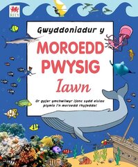 Gwyddoniadur y Moroedd Pwysig Iawn cena un informācija | Grāmatas pusaudžiem un jauniešiem | 220.lv