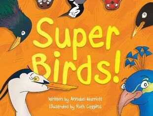 Super Birds! цена и информация | Книги для самых маленьких | 220.lv