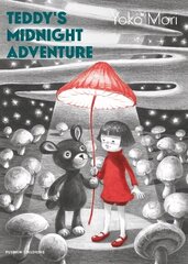 Teddy's Midnight Adventure цена и информация | Книги для малышей | 220.lv