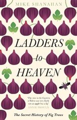 Ladders to Heaven 2nd edition цена и информация | Книги по экономике | 220.lv