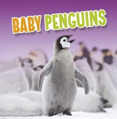 Baby Penguins цена и информация | Книги для подростков  | 220.lv