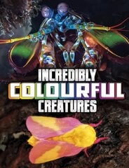 Incredibly Colourful Creatures cena un informācija | Grāmatas pusaudžiem un jauniešiem | 220.lv