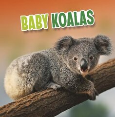 Baby Koalas cena un informācija | Grāmatas pusaudžiem un jauniešiem | 220.lv