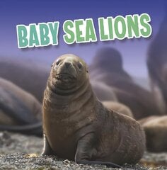 Baby Sea Lions cena un informācija | Grāmatas pusaudžiem un jauniešiem | 220.lv