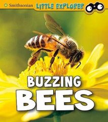 Buzzing Bees цена и информация | Книги для подростков  | 220.lv