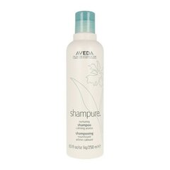 Питательный шампунь Aveda Shampure, 250 мл цена и информация | Шампуни | 220.lv