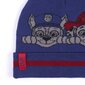 Paw Patrol ziemas cepure цена и информация | Cepures, cimdi, šalles zēniem | 220.lv