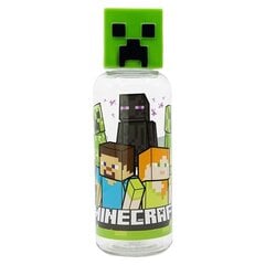 Minecraft 3D pudele 560 ml cena un informācija | Datorspēļu suvenīri | 220.lv