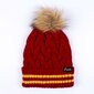 Harija Potera Grifidora ziemas cepure cena un informācija | Cepures, cimdi, šalles zēniem | 220.lv