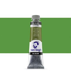 Масляная краска в тюбиках Van Gogh S1 623, 20 ml. цена и информация | Принадлежности для рисования, лепки | 220.lv