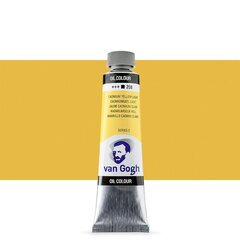 Масляная краска в тюбиках Van Gogh S2 208, 20 ml. цена и информация | Принадлежности для рисования, лепки | 220.lv