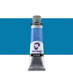 Масляная краска в тюбиках Van Gogh S2 534, 20 ml. цена и информация | Принадлежности для рисования, лепки | 220.lv