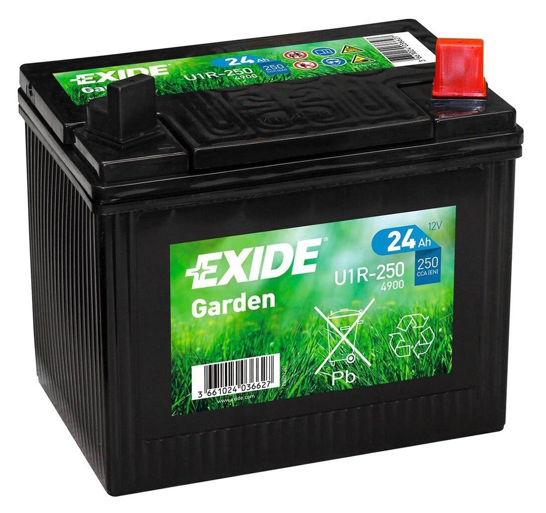 Akumulators zāliena traktoram Exide Garden 12V 24Ah 197x132x186-+ цена и информация | Akumulatori | 220.lv