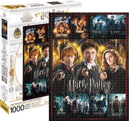 Harija Potera puzle 1000 gab cena un informācija | Puzles, 3D puzles | 220.lv