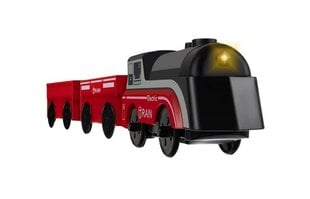 Электрический локомотив Kruzzel 19879, красный цена и информация | Конструктор автомобилей игрушки для мальчиков | 220.lv