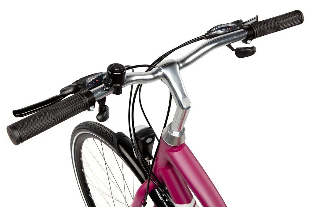 Hibrīda velosipēds Baana Manta 28", 24 pārnesumi, violets цена и информация | Velosipēdi | 220.lv