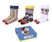 Mickey Mouse 3 pāru zeķu komplekts цена и информация | Vīriešu zeķes | 220.lv