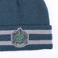 Harija Potera Slytherin ziemas komplekts šalle+cepure cena un informācija | Cepures, cimdi, šalles zēniem | 220.lv