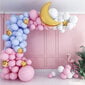 Macaron Rose Theme balonu komplekts (117 gab.) цена и информация | Baloni | 220.lv